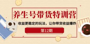 健康养生号卖货夏令营【12期】盈利更稳定的游戏玩法,使你卖货盈利发生爆炸-9节视频课堂-创业资源网