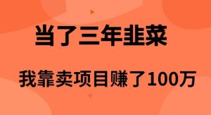 当上3年韭莱,卧槽卖项目挣了100万-创业资源网