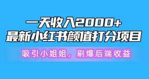 一天收益2000 ,全新小红书的颜值打分新项目,吸引住漂亮小姐姐,刷爆了后面盈利-创业资源网