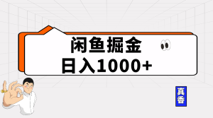 闲鱼平台暴力行为掘金队新项目,轻轻松松日入1000-创业资源网
