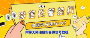 微信托管放置挂机,运单号日赚50-80,新项目使用方便-创业资源网