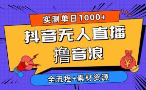 2024抖音无人在线撸抖币新模式 日入1000 全过程 素材资料-创业资源网