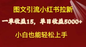 图文并茂引流方法小红书的引流一单15元,单日暴力行为盈利5000 ,新手也可以快速上手-创业资源网