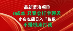 全新蓝海项目 0成本费 只要会打字聊天 新手也可以日入三位数 不挣钱去打我-创业资源网