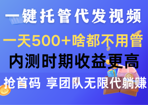 一键代管代发货短视频,一天500 什么都不管,内侧阶段收益更高,抢首码,享…-创业资源网