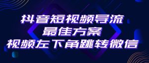 抖音短视频引流导流最佳方案,视频左下角跳转微信,外面500一单,利润200+-创业资源网