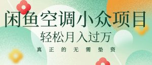 闲鱼卖空调小众项目 轻松月入过万 真正的无需垫资金-创业资源网