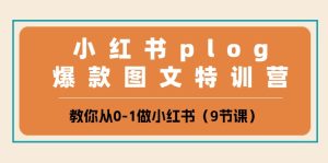 小红书的 plog爆品图文并茂夏令营,教大家从0-1做小红书的-创业资源网