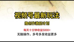 微信视频号全新游戏玩法,每日一小时月入5000-创业资源网
