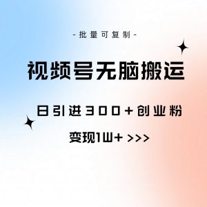 视频号无脑搬运日引300+创业粉,变现1W+可批量复制-创业资源网