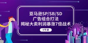 亚马逊平台SP/SB/SD广告宣传组成玩法,揭密热销盈利疯涨7倍战略 (9堂课)-创业资源网