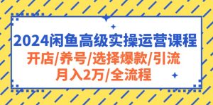 2024闲鱼平台高端实际操作营销课程:开实体店/起号/挑选爆品/引流方法/月入2万/全过程-创业资源网