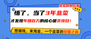 悟了,当了3年韭菜,才发现网赚圈年赚100万的核心是卖项目,含泪分享!-创业资源网