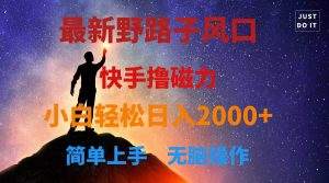 最新风口!快手撸磁力,野路子,小白无脑操作日入2000+-创业资源网