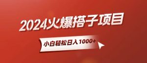 小白轻松上手,日入1000+,搭子项目-创业资源网
