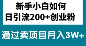 新手入门日引流方法200 自主创业粉,根据卖项目月入3W-创业资源网