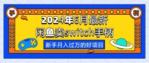 2024年6月全新淘宝闲鱼switch蓝牙手柄,初学者月薪过万的第一个创业好项目-创业资源网