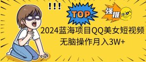 2024蓝海项目QQ美女短视频没脑子实际操作月入3W-创业资源网