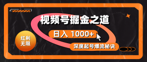 收益无尽!微信视频号掘金队之法,深度解读养号爆流窍门,真正实现日入 1000 !-创业资源网