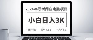 2024全新淘宝闲鱼计算机新项目,新手入门日入3K ,最真实项目化教学-创业资源网