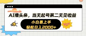 AI撸今日头条,当日养号,第二天见盈利。轻轻松松日入2000-创业资源网