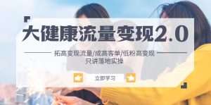 大健康产业 总流量 转现2.0:拓高转现 总流量/成高客单/低筋粉高转现/只谈落地式实战演练-创业资源网