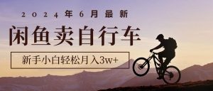 2024年6月全新淘宝闲鱼单车,新手入门轻轻松松月收入3w 新项目-创业资源网