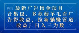 最新广告撸金新项目合辑包,几款撸羊毛看广告收入 引流管道收益,日入三位数-创业资源网