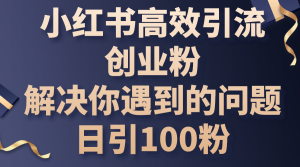 小红书的高效率引流方法自主创业粉,解决你遇到的困难,日引100粉-创业资源网