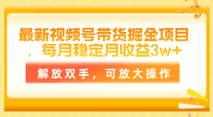 全新视频号带货掘金队新项目,每月平稳月盈利3w ,解锁新技能,可变大实际操作-创业资源网