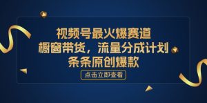 [您的孩子取得成功获得上位]微信视频号最火跑道，橱窗展示卖货，流量分成方案，条…-创业资源网
