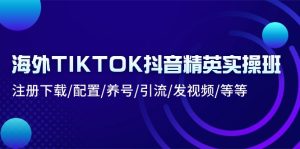 国外TIKTOK抖音视频精锐实际操作班:下载登录/配备/起号/引流方法/上传视频/等-创业资源网
