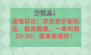 越快了解越有钱赚的蓝海项目：京东大平台操作，一单利润20-30，简易…-创业资源网