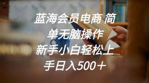 瀚海会员电商 简易没脑子实际操作 新手入门快速上手日入500＋-创业资源网