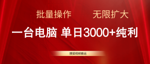 搜狐网视频搬运，一台电脑单日3000 ，批量处理，可无限扩大-创业资源网