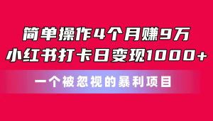 易操作4个月赚9万!小红书的打卡签到日转现1000 !一个被忽略的暴力新项目-创业资源网