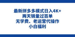 拼多多最新模式日入4K+两天销量过百单,无学费、老运营代操作、小白福利-创业资源网