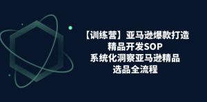 【训练营】亚马逊爆款打造之精品开发SOP,系统化洞察亚马逊精品选品全流程-创业资源网