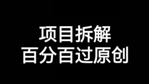 新项目拆卸跑道百分之百过原创设计【揭密】-创业资源网