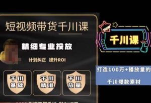 短视频带货-千川专业投放课，​精细化专业投放，计划纠正，提升ROI-创业资源网