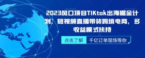 2023风口项目TikTok出海掘金计划,短视频直播带货跨境电商,多收益模式扶持-创业资源网