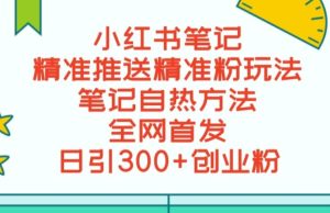 最新小红书笔记精准推送2000+精准粉，单日导流私欲最少300【脚本+教程】-创业资源网