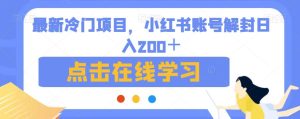 全新升级蓝海项目，小红书账号解封日入200＋【揭秘】-创业资源网
