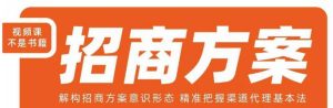 王昕招商方案,解构招商方案意识形态,精准把握渠道代理基本法-创业资源网