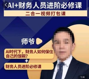 AI 财务人员进阶必修课二合一小视频装袋课,财务人员进阶必修课-创业资源网