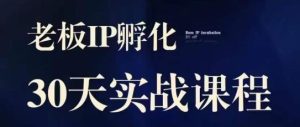 诸葛亮·2023老总IP实战演练课，实体线同城引流拓客，IP卵化必听-创业资源网
