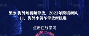 黑冰·国外短视频卖货，2023年跨境电商新蓝海，国外ofo单车卖货机遇与挑战-创业资源网