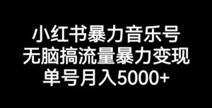 小红书的暴力行为音乐号，没脑子搞总流量暴力行为转现，运单号月入5000-创业资源网