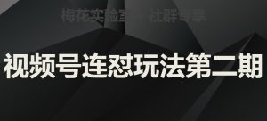 红梅花试验室社群营销微信视频号连怼游戏玩法第二期，实际操作解读全过程-创业资源网