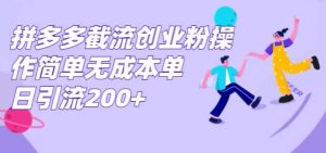 拼多多平台截留自主创业粉,使用方便无成本费单日引流方法300-创业资源网